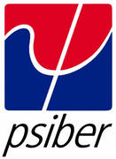 Psiber-Data-Logo