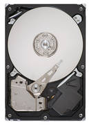 Seagate Barracuda 7200.11